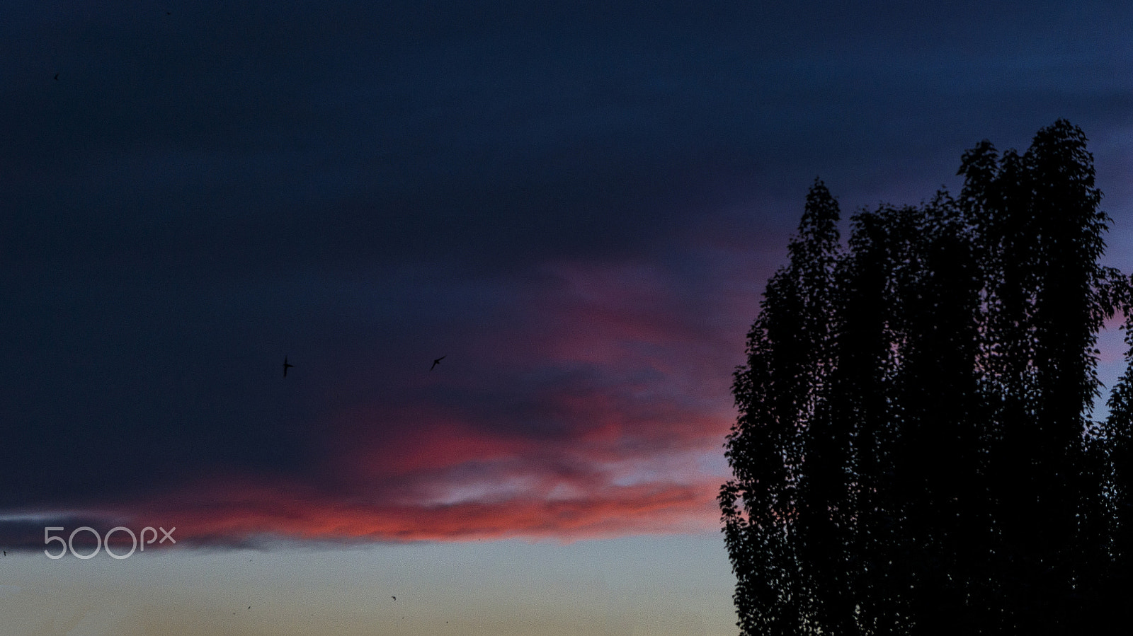 Sony Alpha NEX-5N sample photo. Red sky photography