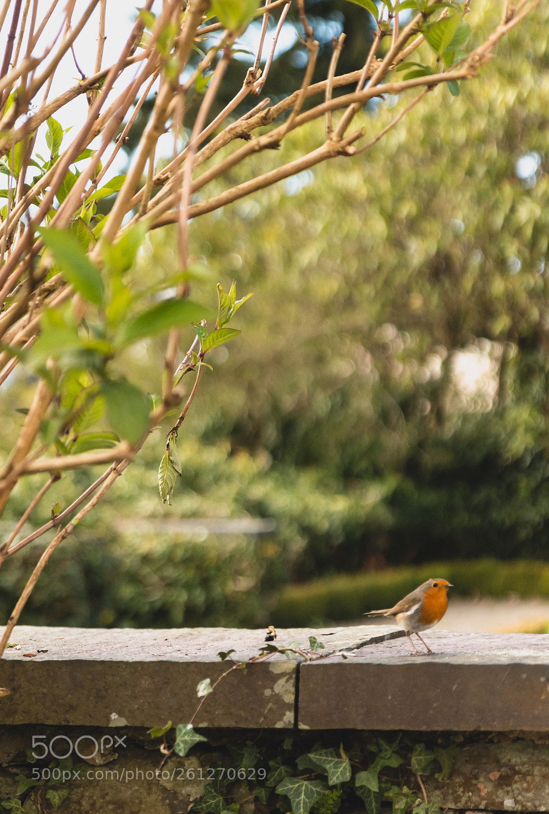 Canon EOS 70D sample photo. Untitled photography