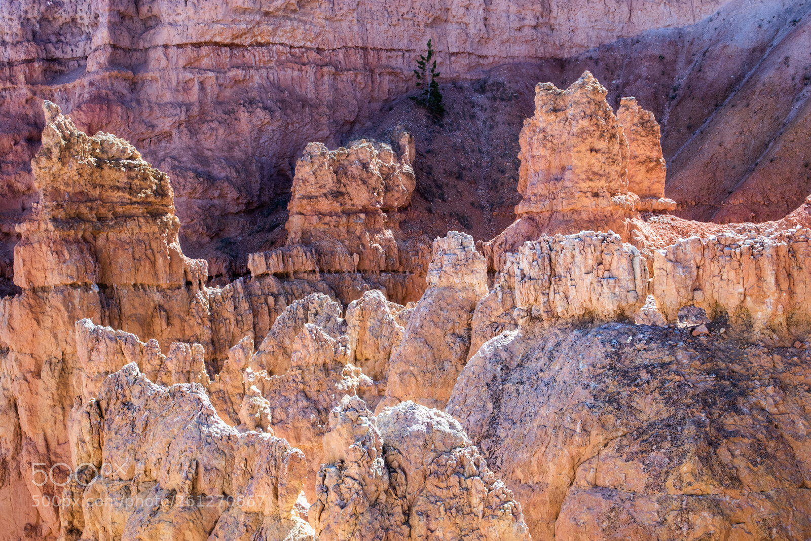 Canon EOS 80D sample photo. Rocks of ages photography