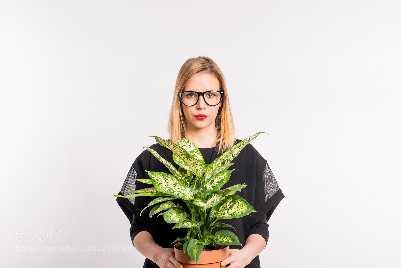 Nikon D800 sample photo. Young beautiful woman with photography