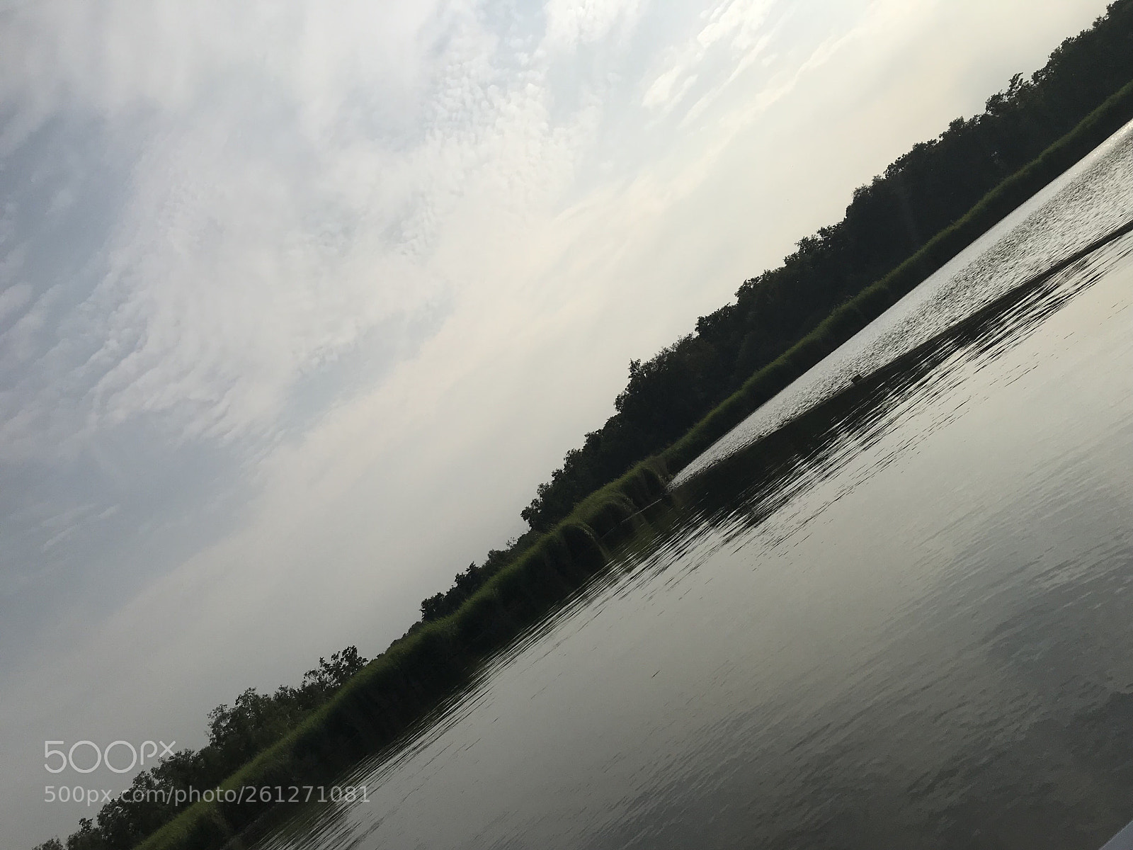Apple iPhone 7 Plus sample photo. Untitled photography