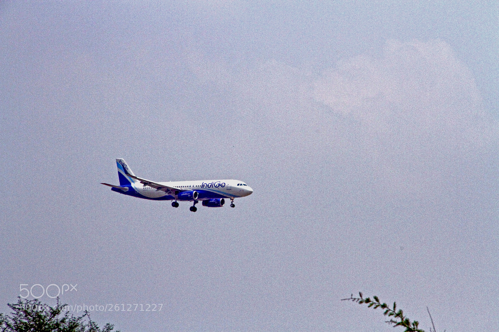 Canon EOS 7D sample photo. Img photography