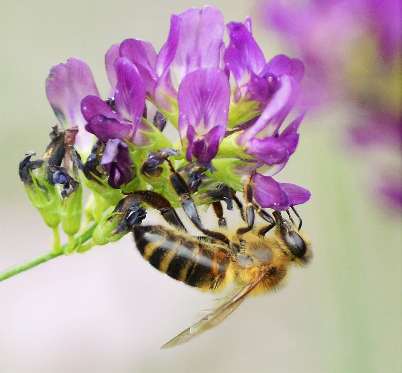Nikon D3200 sample photo