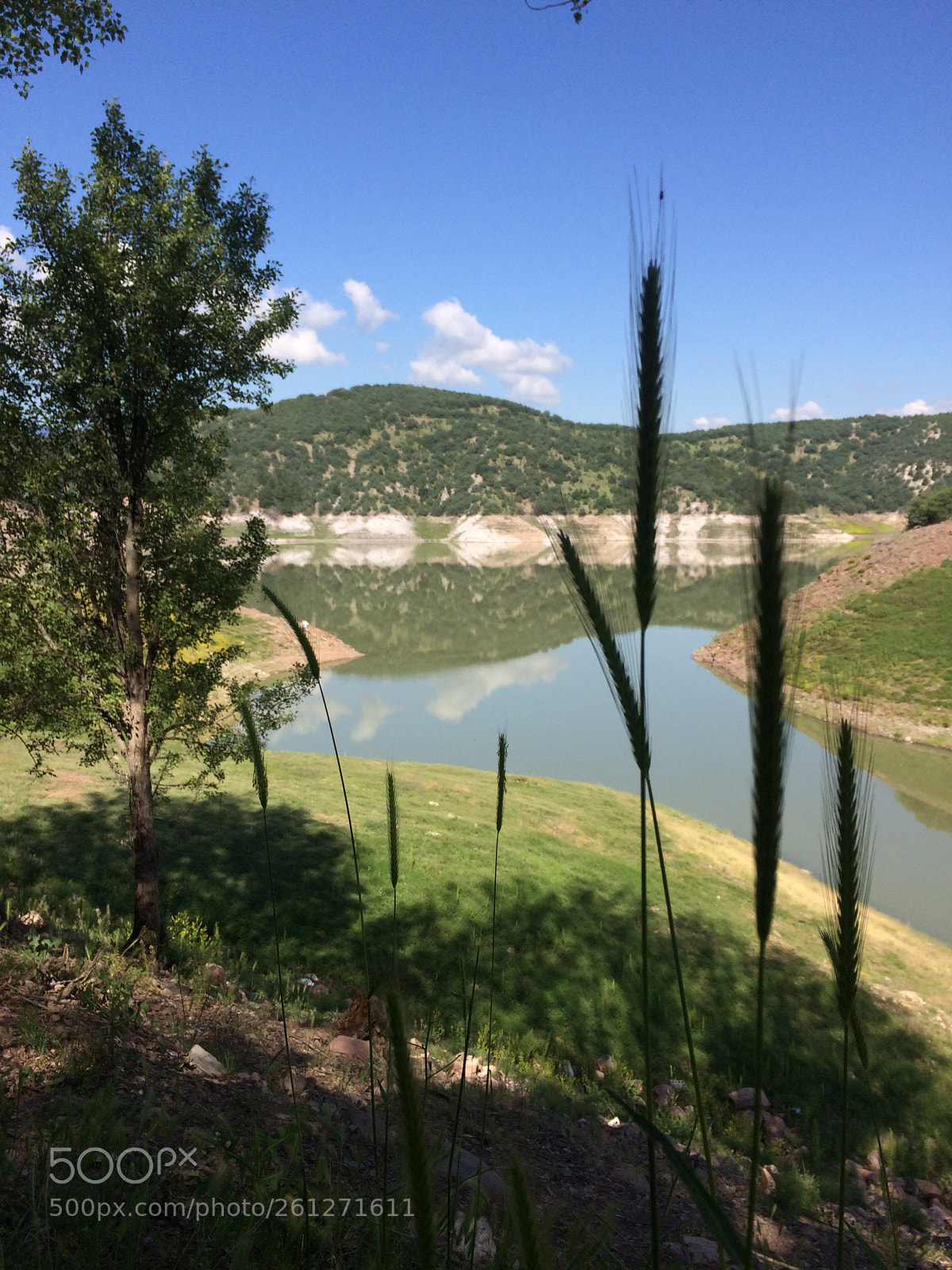 Apple iPhone 5s sample photo. Huzur doğada 
... photography