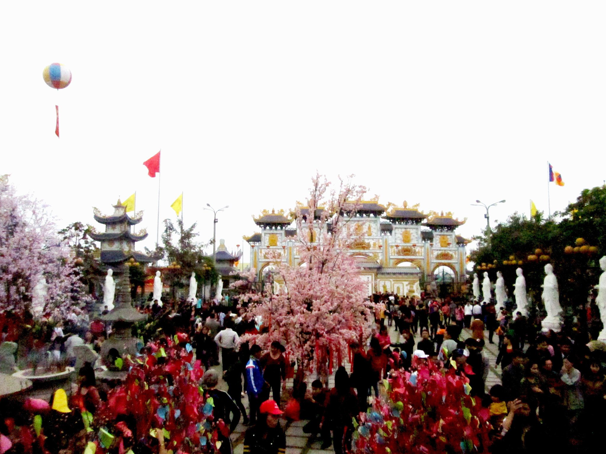 Canon PowerShot A810 sample photo. Nửa năm 080618 photography