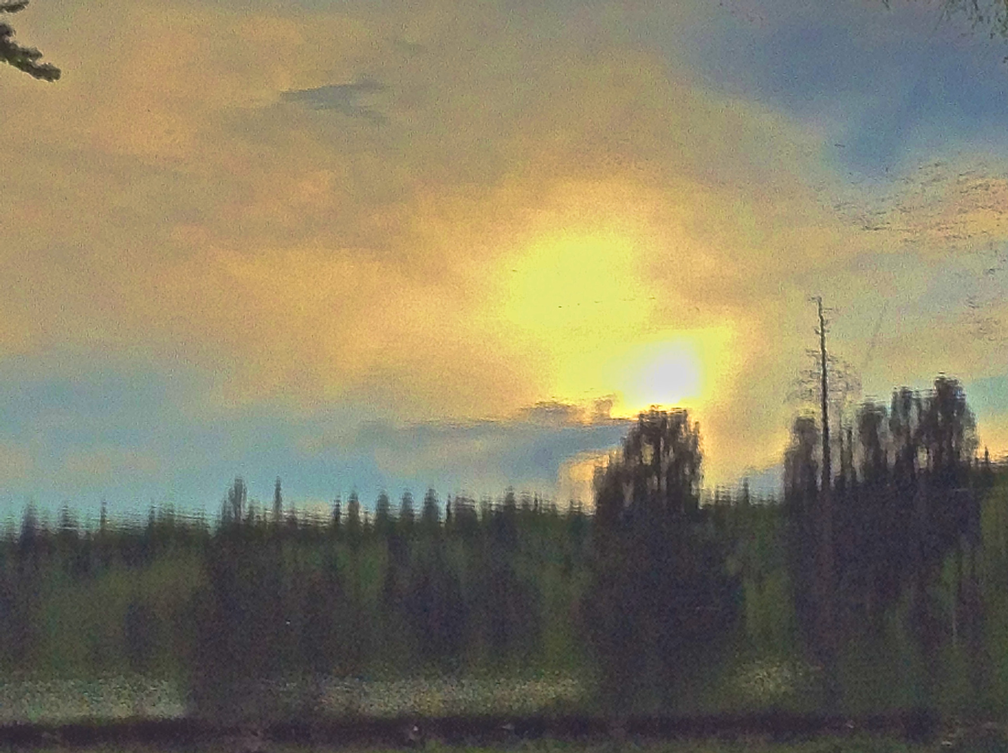 Apple iPod touch sample photo. Impressionism in the pines photography