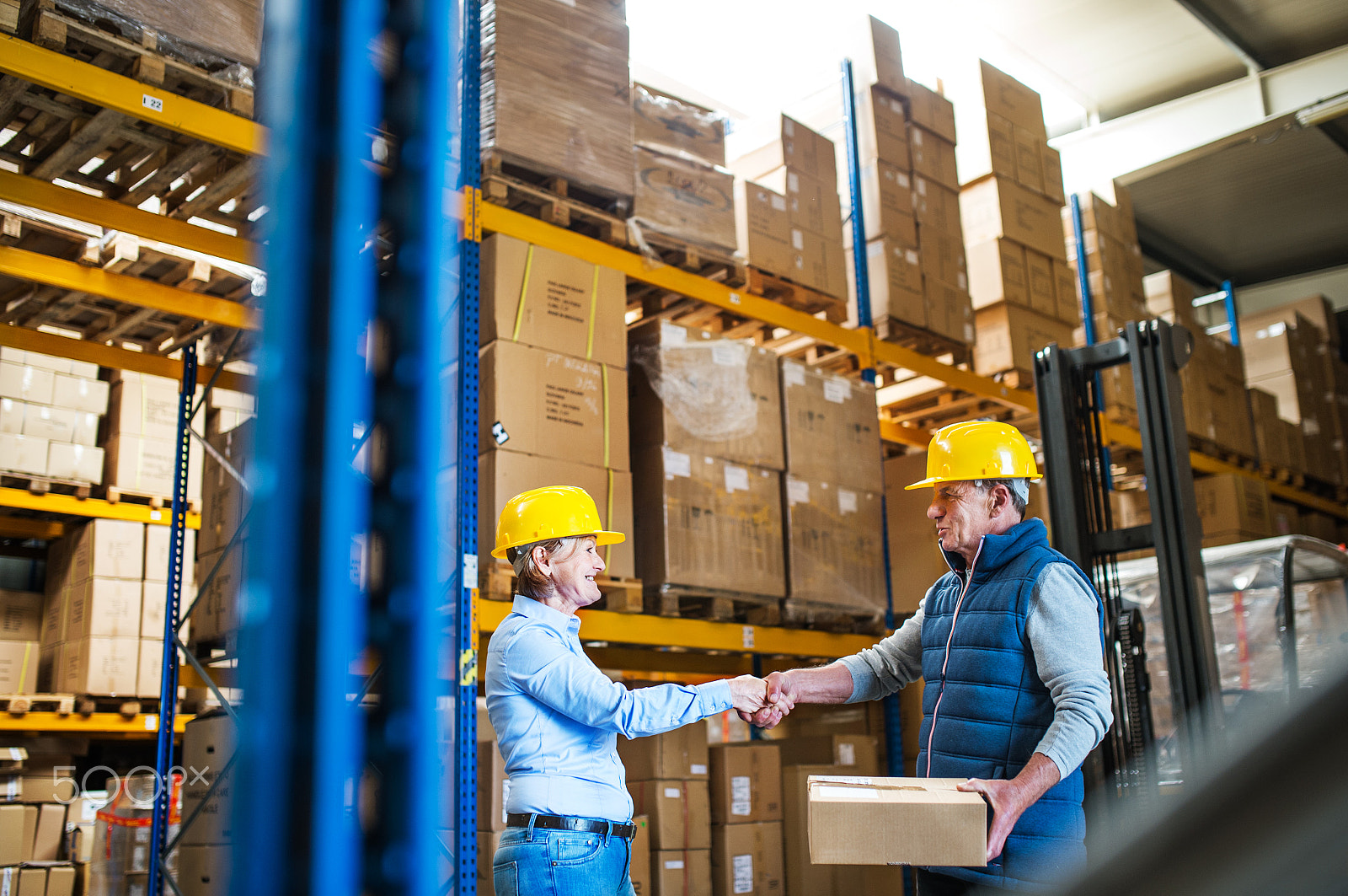 Nikon D4S sample photo. Senior woman managers or workers working in a warehouse, shaking hands. photography