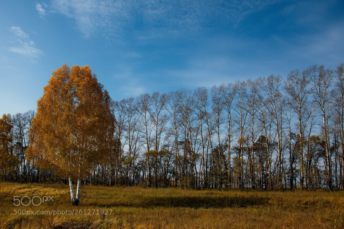 Nikon D750 sample photo. Russia. the south of photography