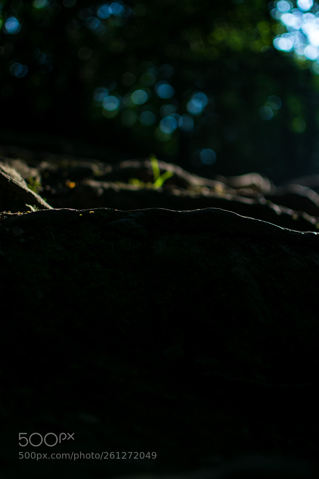 Nikon D3300 sample photo. The beauty of the photography