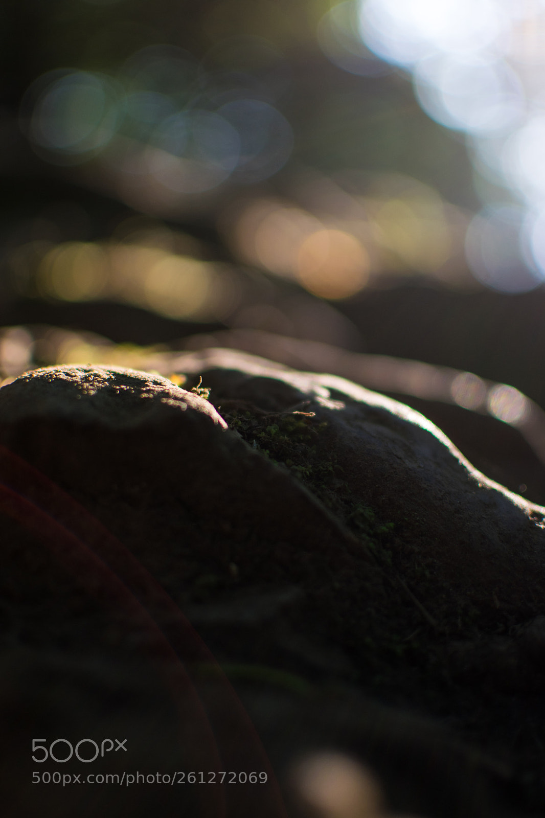 Nikon D3300 sample photo. The beauty of the photography