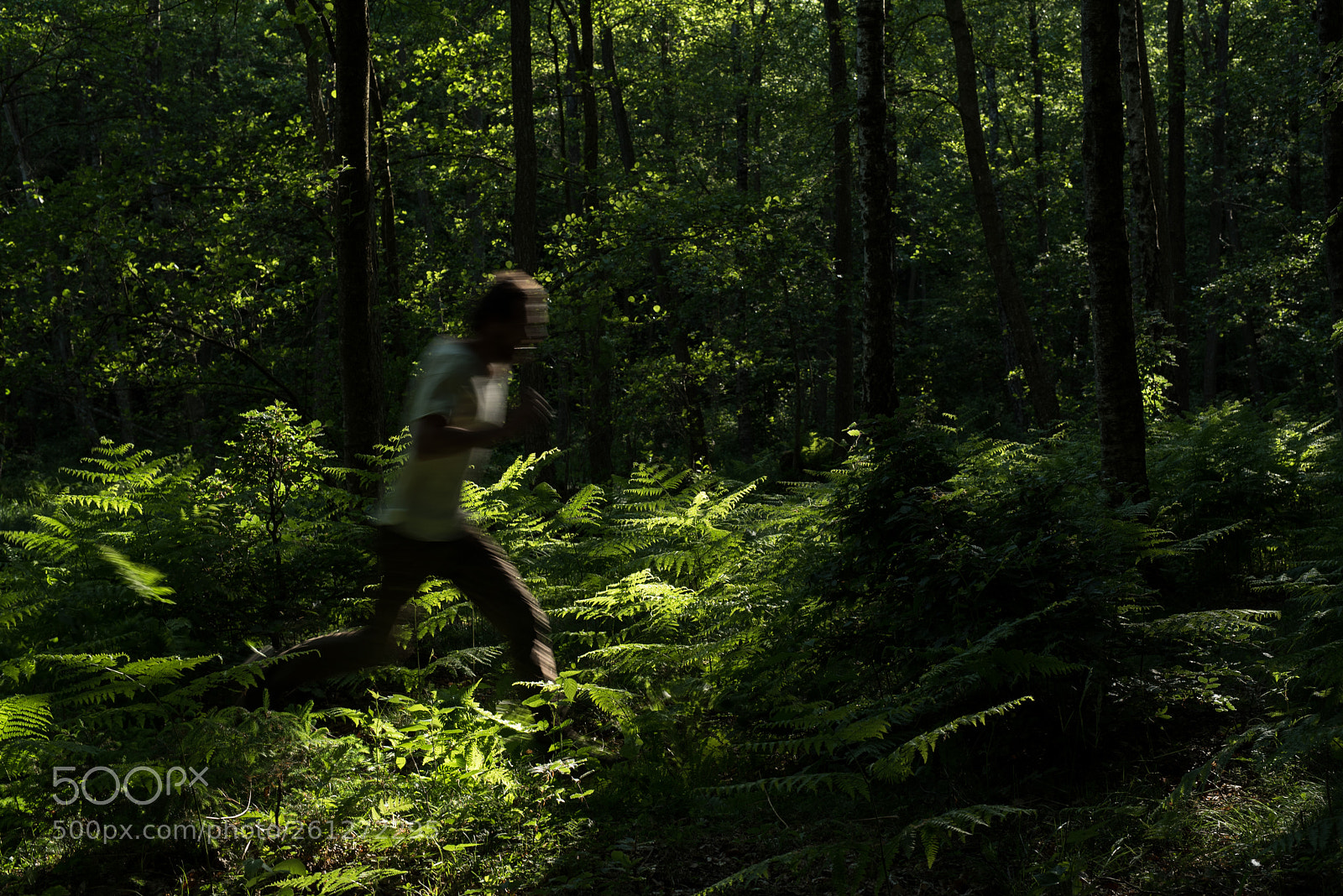 Nikon D750 sample photo. Runner photography