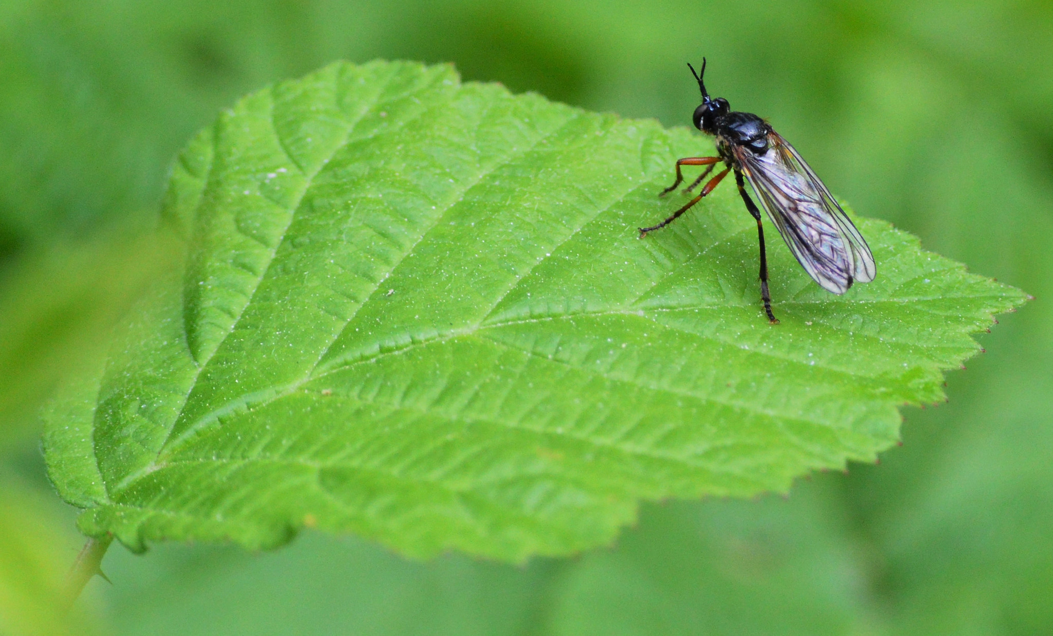 Nikon D3200 sample photo