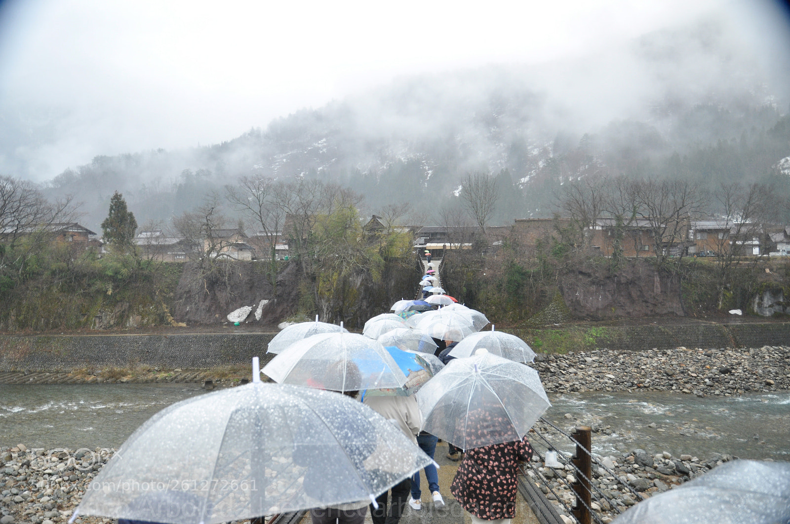 Nikon D90 sample photo. Rainproof path photography