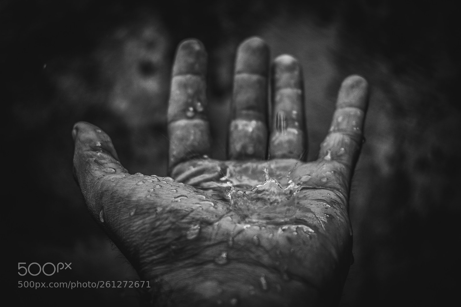 Nikon D3400 sample photo. In the silent rain photography