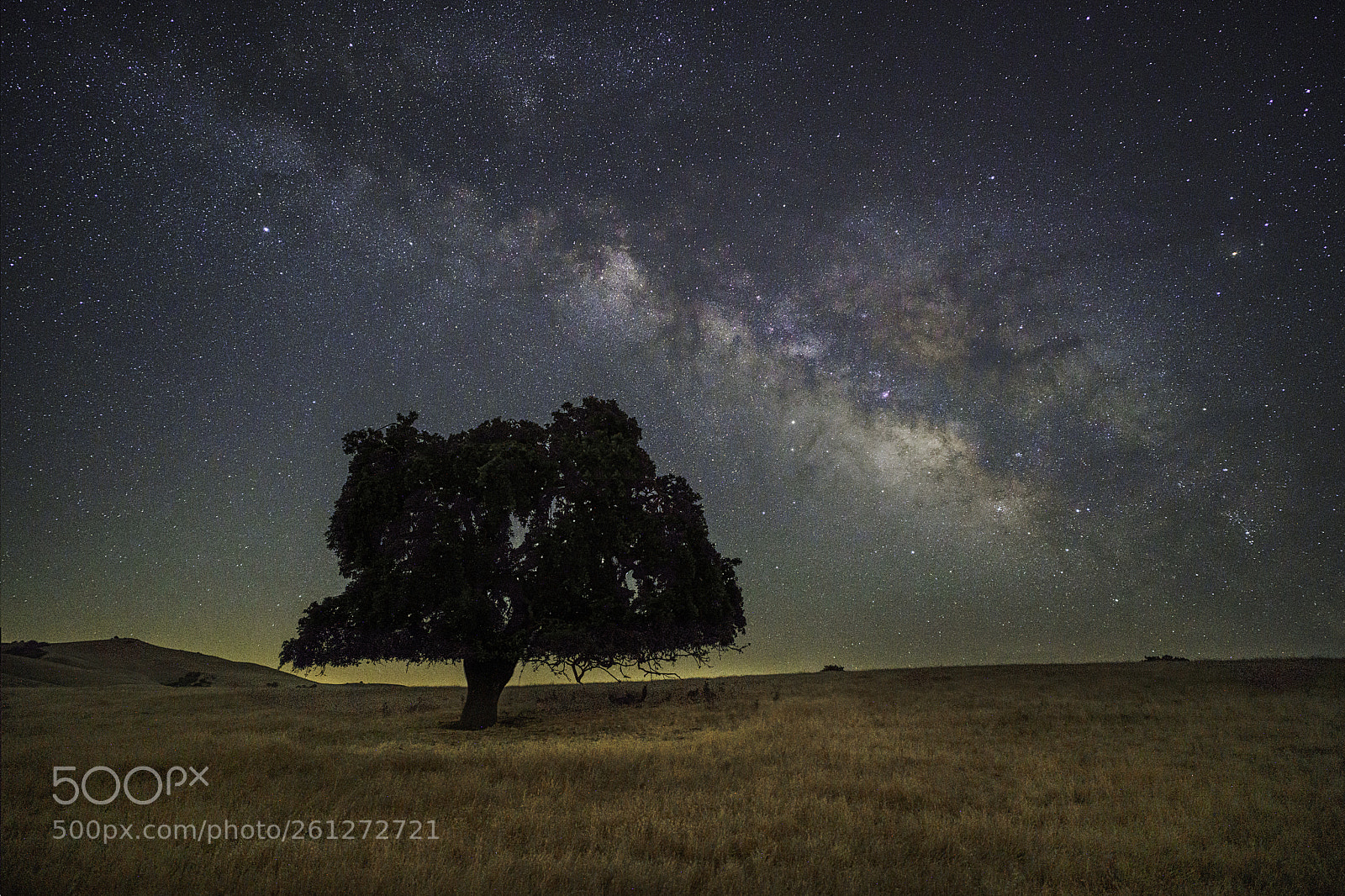 Sony a7R III sample photo. Midnight glory... photography