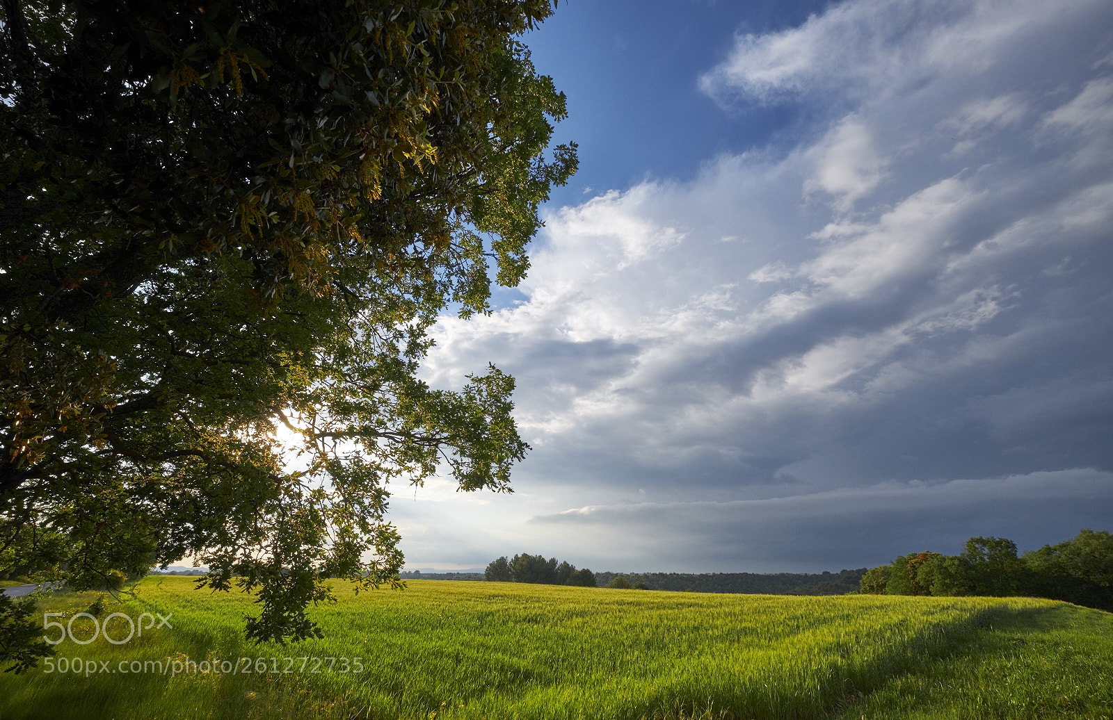 Fujifilm X-T2 sample photo. Dsf3376 photography