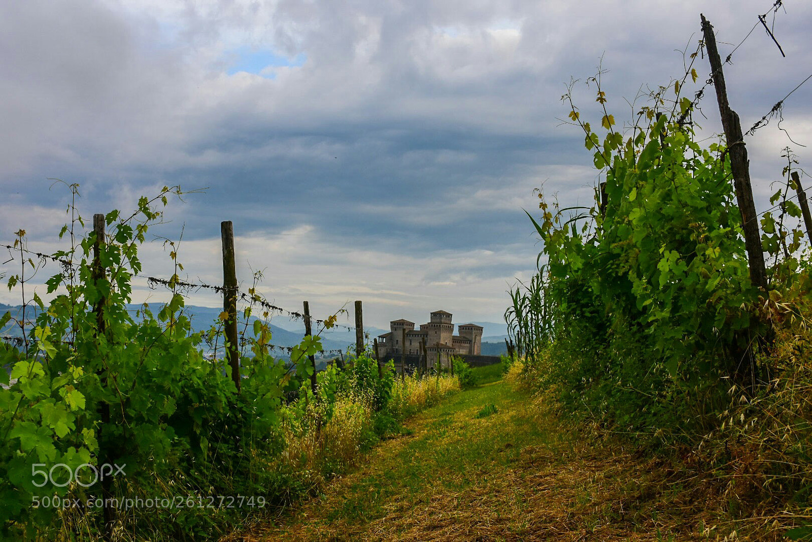 Nikon D7200 sample photo. The ancient castle. photography