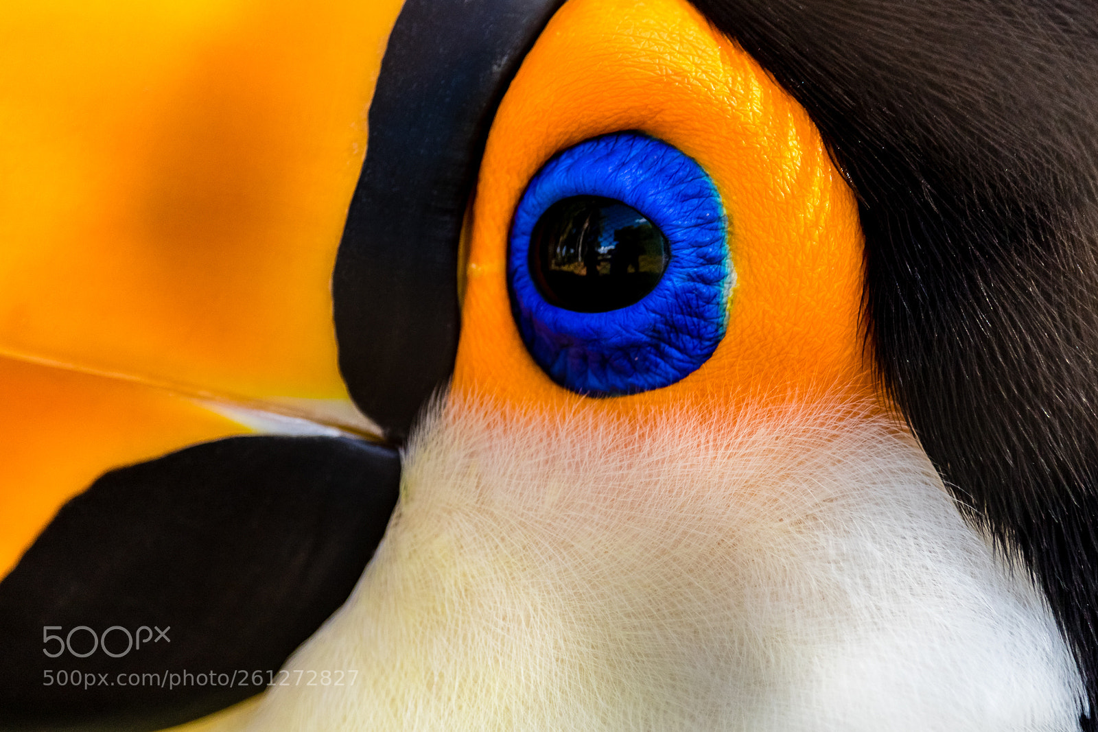 Canon EOS 7D Mark II sample photo. Tucano photography