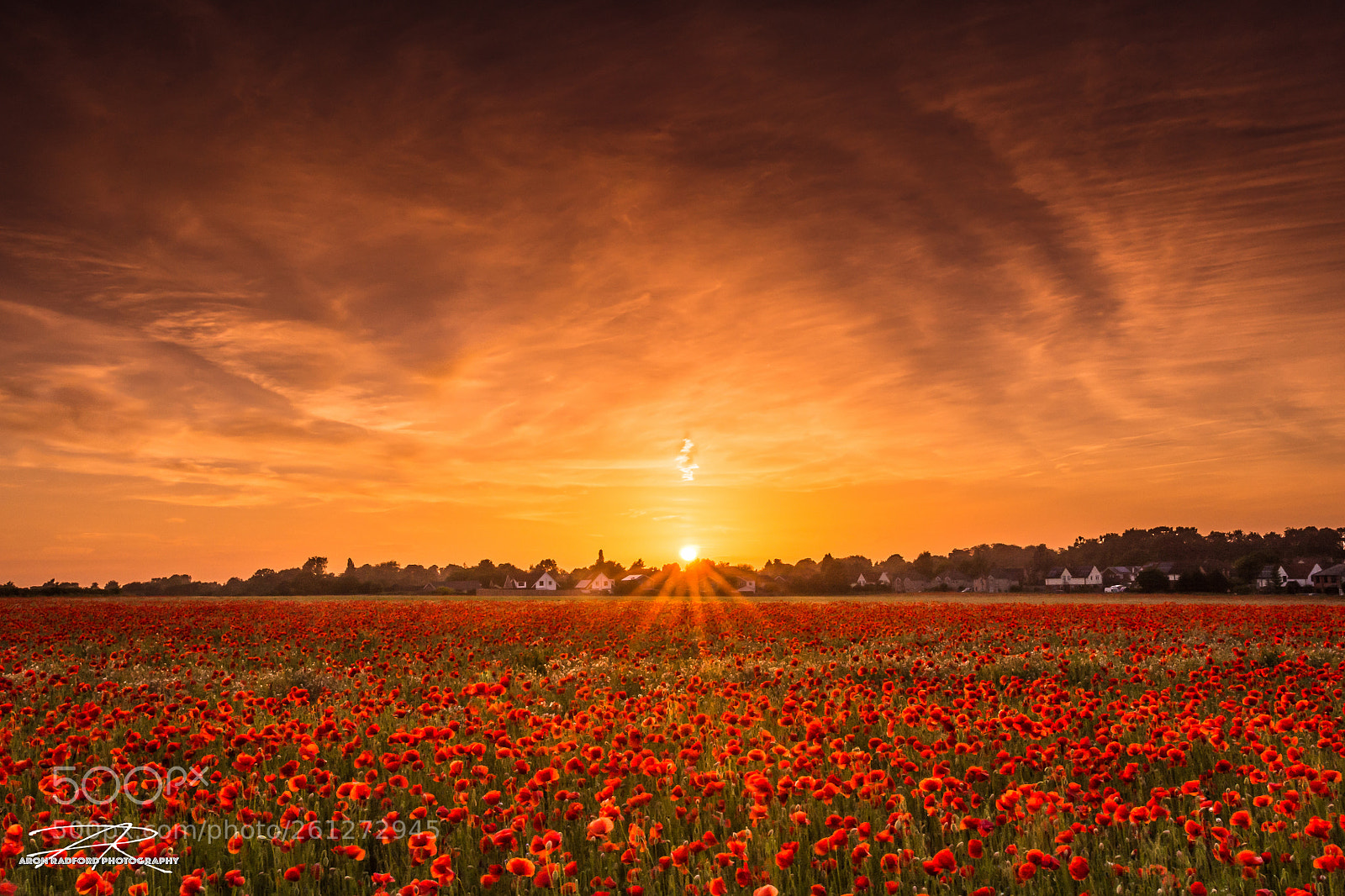 Nikon D7100 sample photo. Elmswell poppies photography