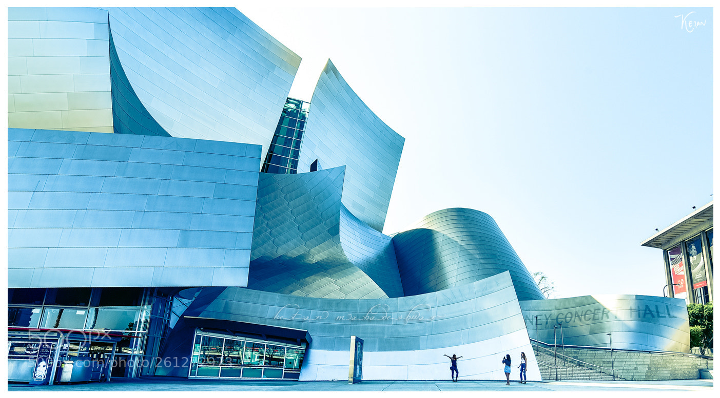 Nikon D810 sample photo. Walt disney concert hall photography