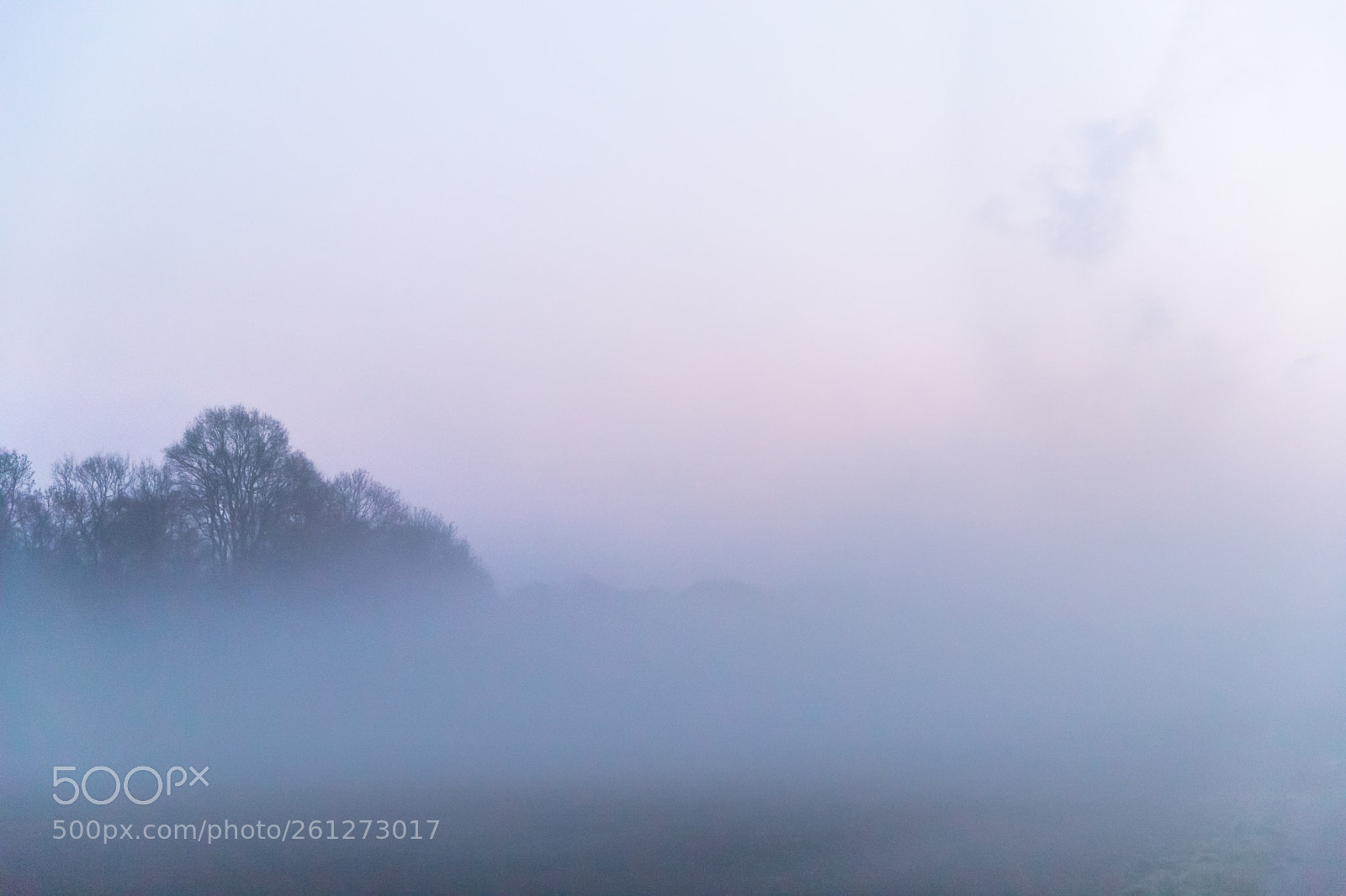 Canon EOS 6D Mark II sample photo. Whiteout photography