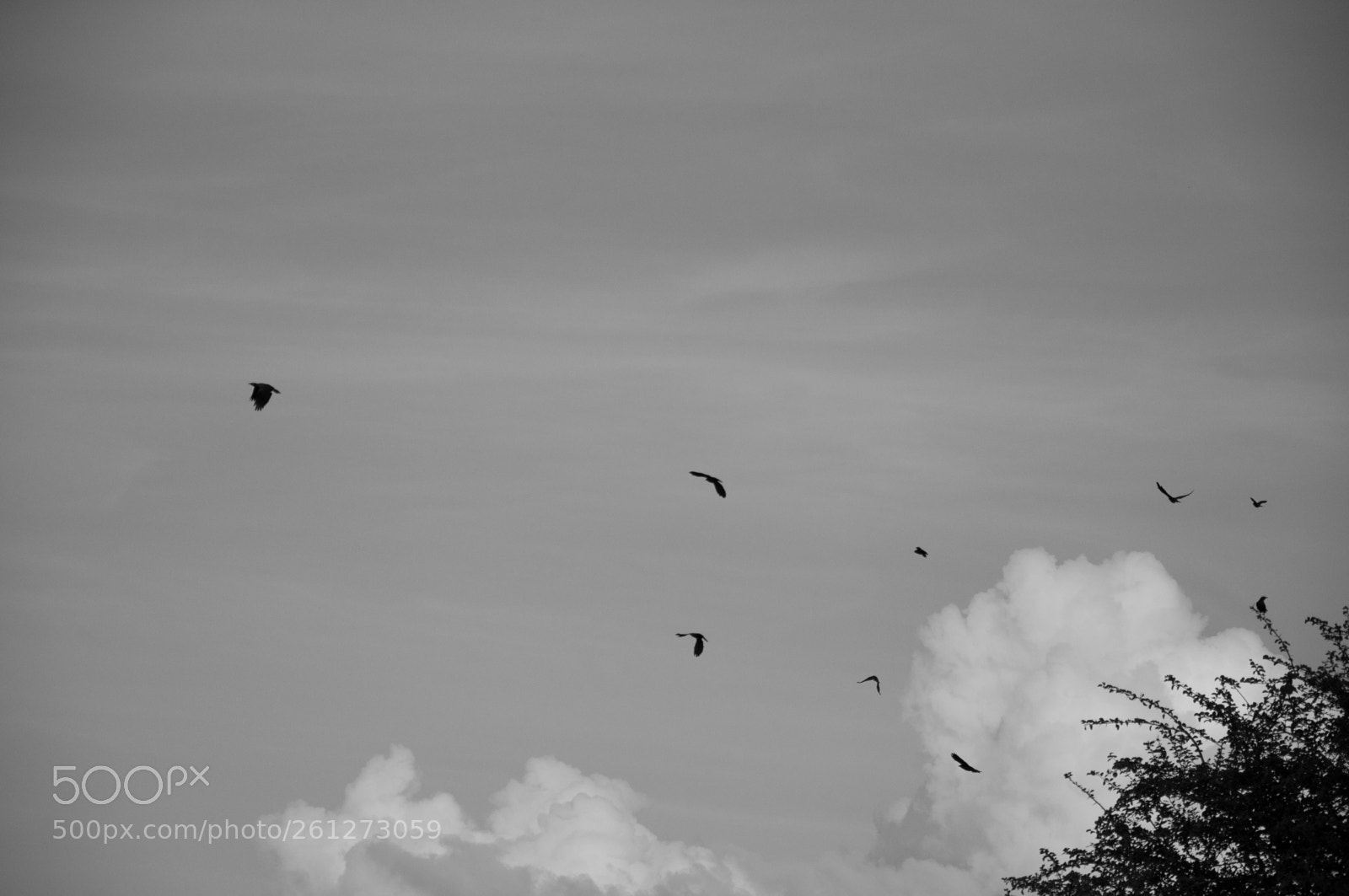 Nikon D5000 sample photo. Life happens photography