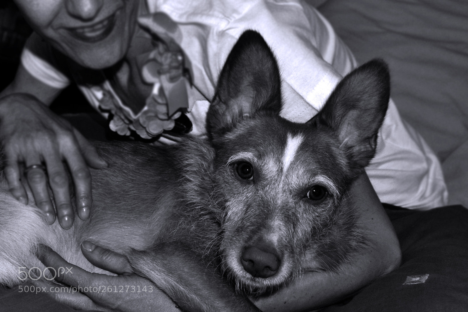 Nikon D3100 sample photo. Mirada profunda photography