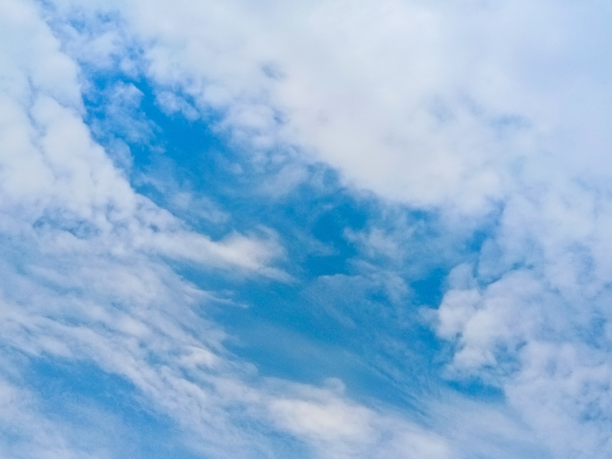 vivo 1601 sample photo