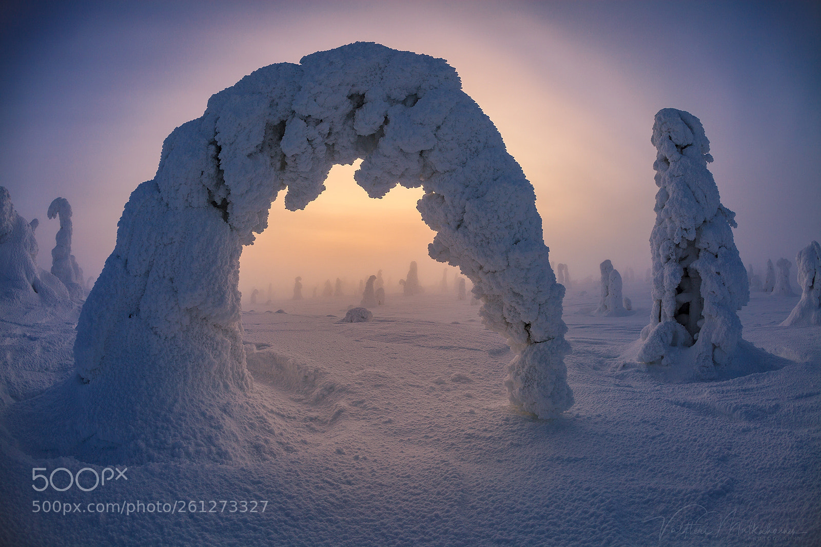 Canon EOS 5D Mark II sample photo. Winter in lapland photography