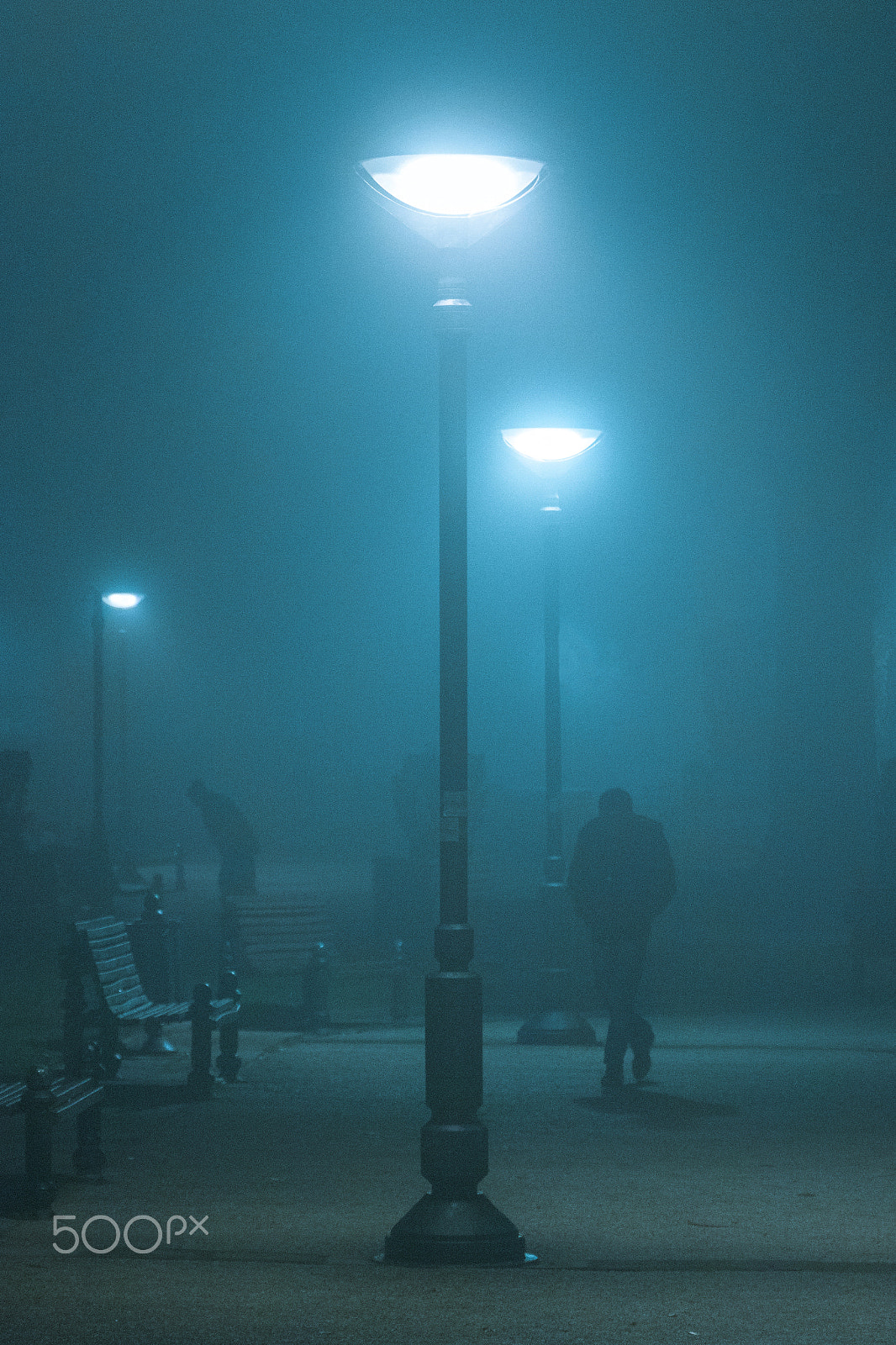 Canon EOS 760D (EOS Rebel T6s / EOS 8000D) sample photo. Lost in the mist photography