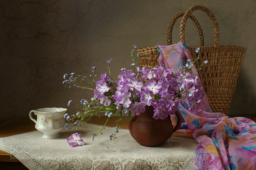 Sony Alpha DSLR-A350 sample photo. Primula photography