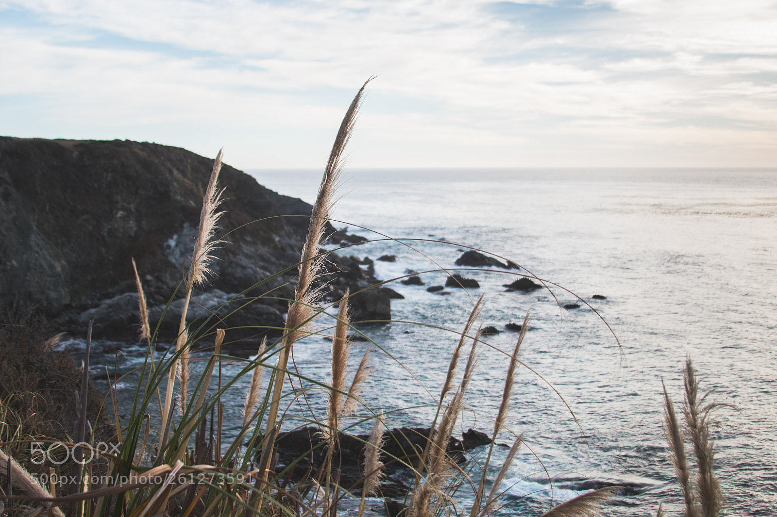 Canon EOS 70D sample photo. Winter gloom photography