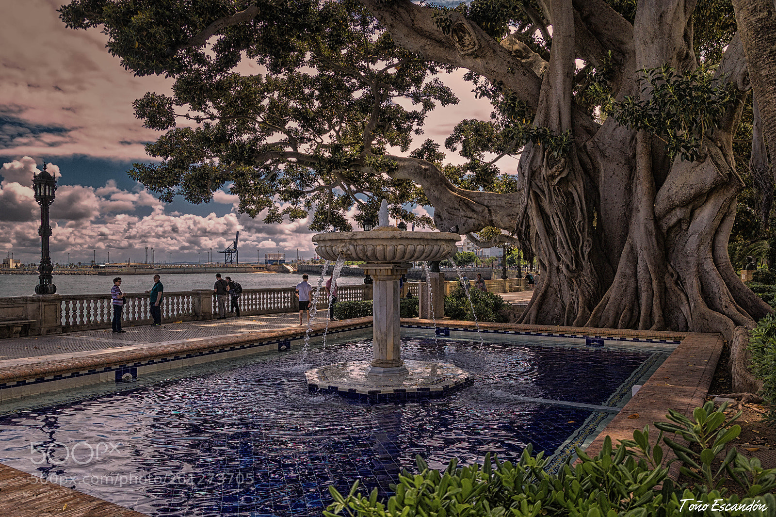 Canon EOS 60D sample photo. Jardin photography