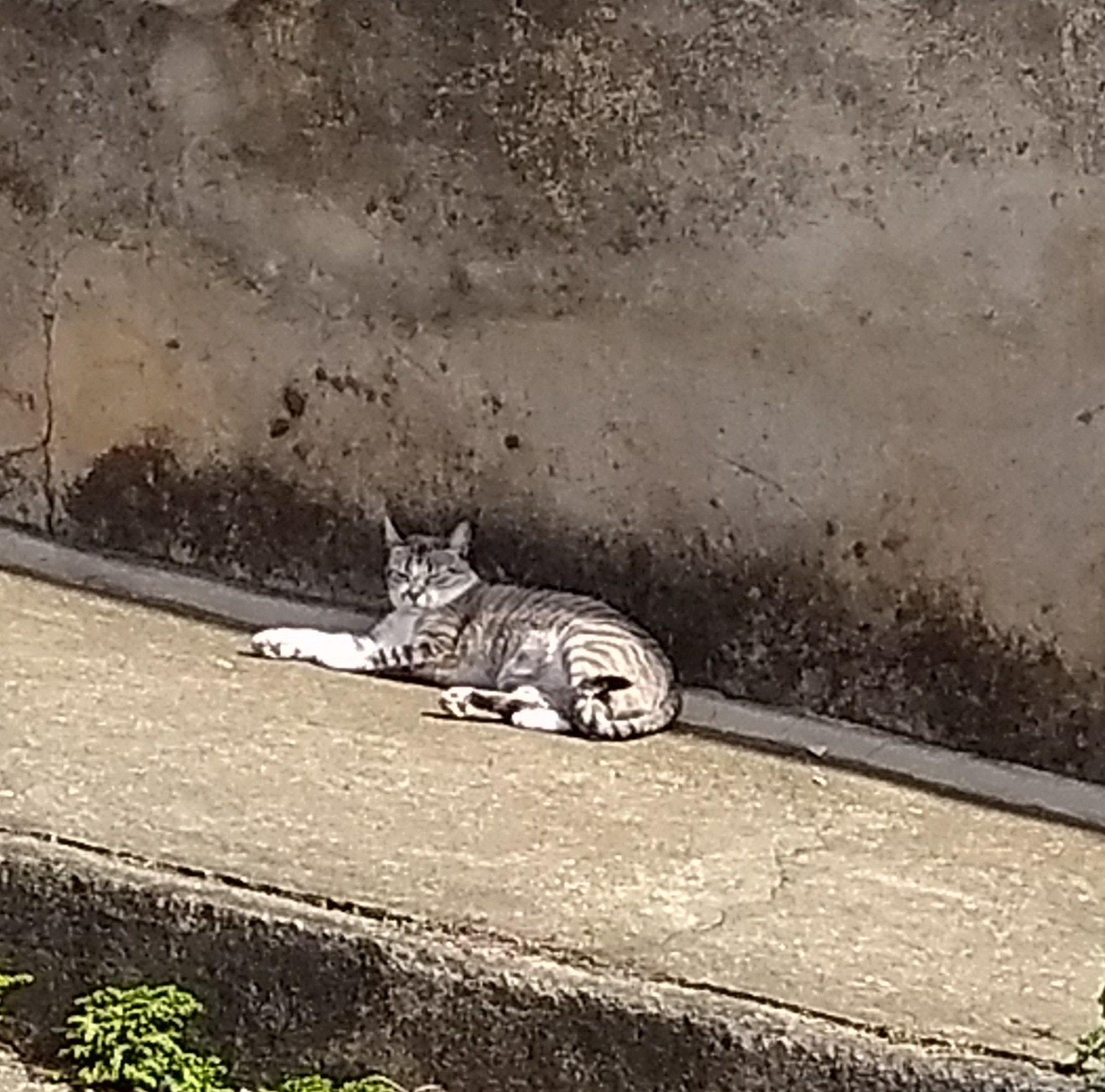 Motorola Moto G (5th Gen) sample photo