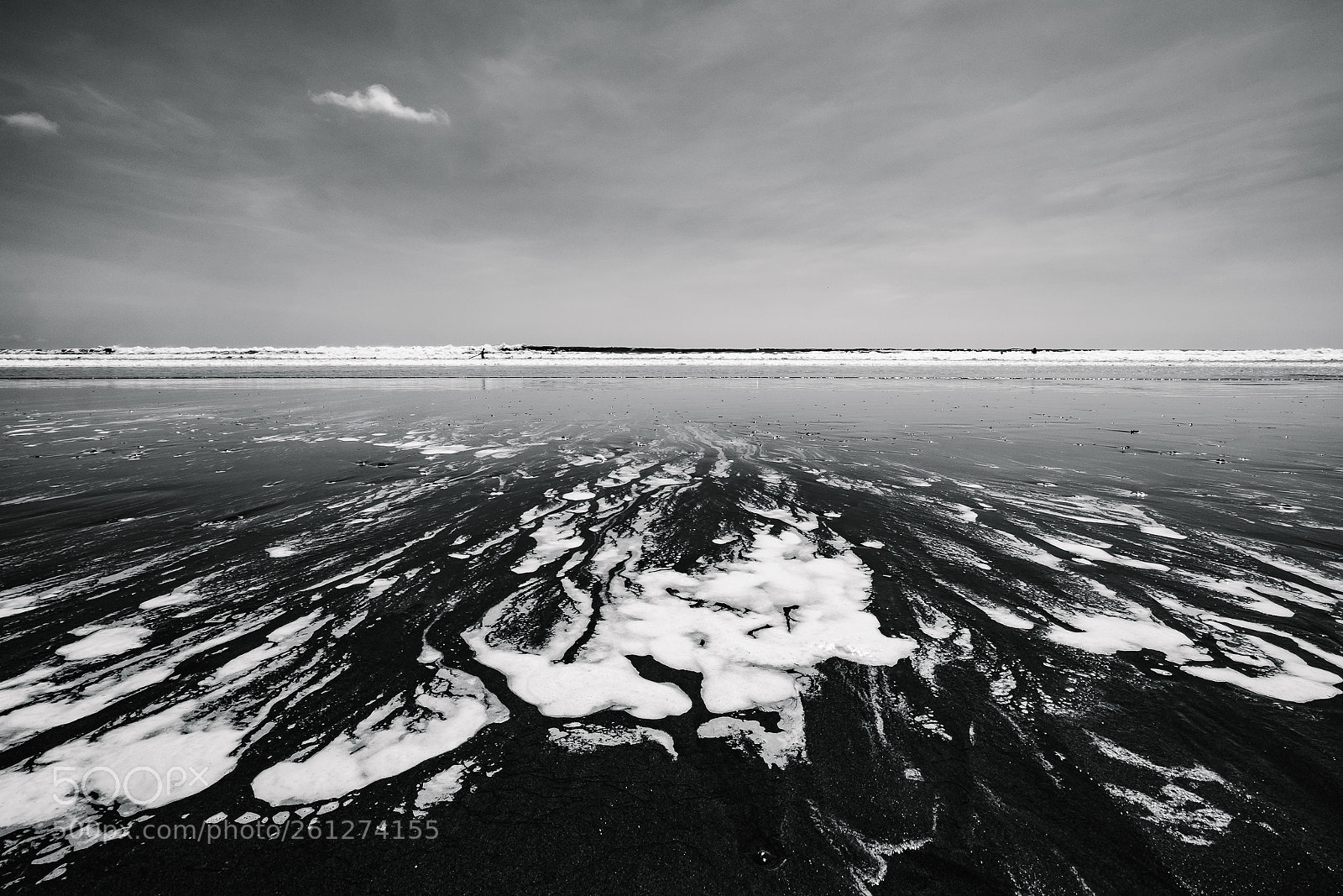 Fujifilm X-T10 sample photo. Costa rica | b&w (14) photography