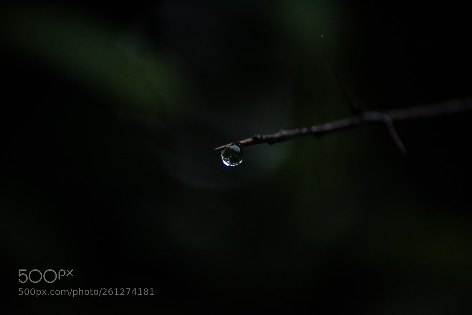 Nikon D5200 sample photo. Water 2 photography