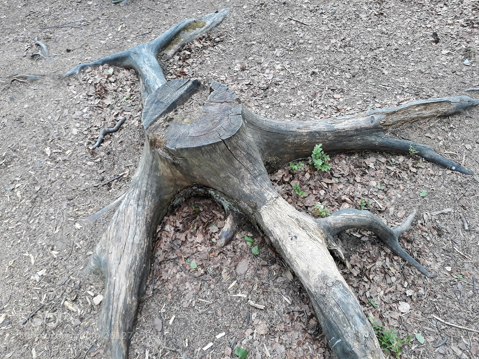 Samsung Galaxy J7 sample photo. Untitled photography