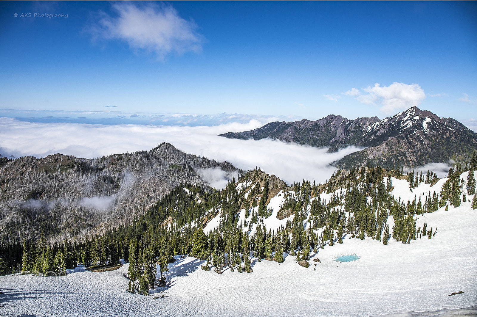 Canon EOS 6D Mark II sample photo. View from hurricane ridge photography