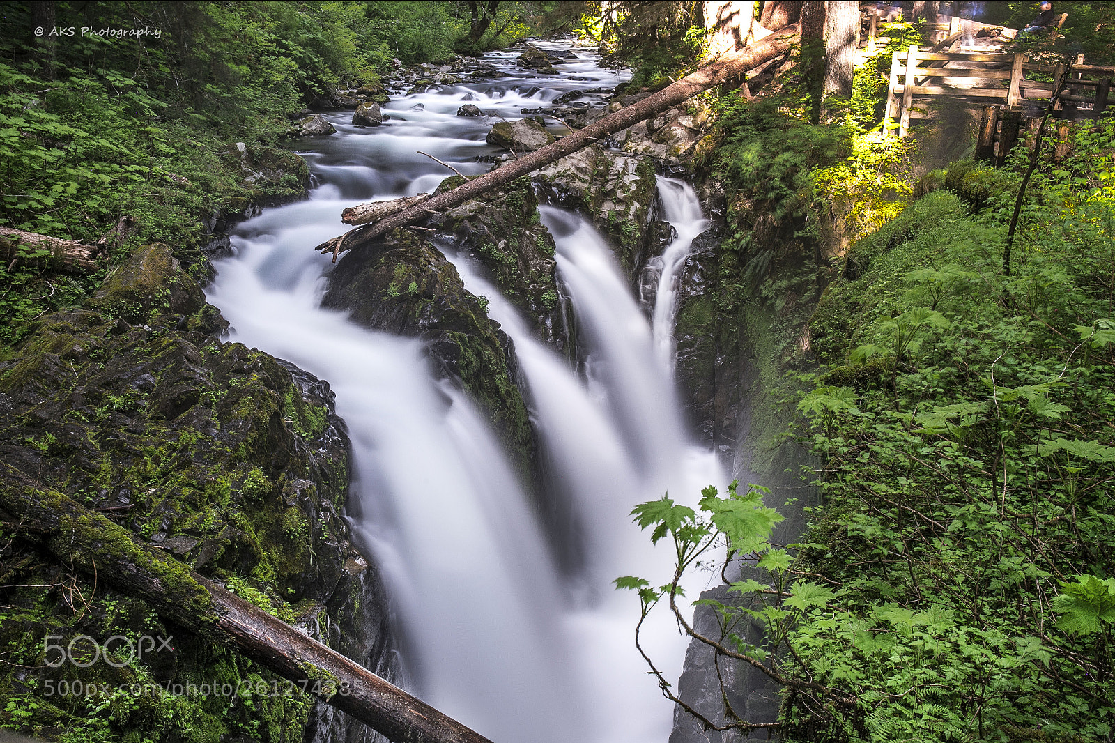 Canon EOS 6D Mark II sample photo. Sol duc falls photography