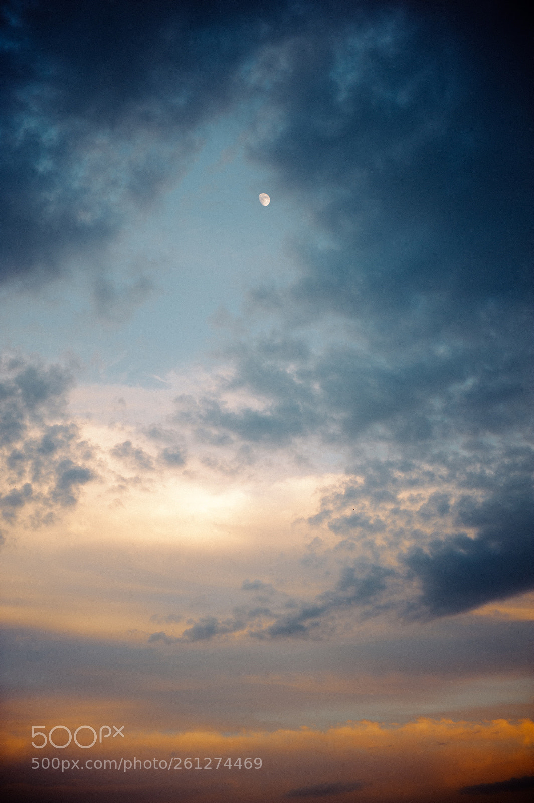 Nikon D700 sample photo. Ckc photography