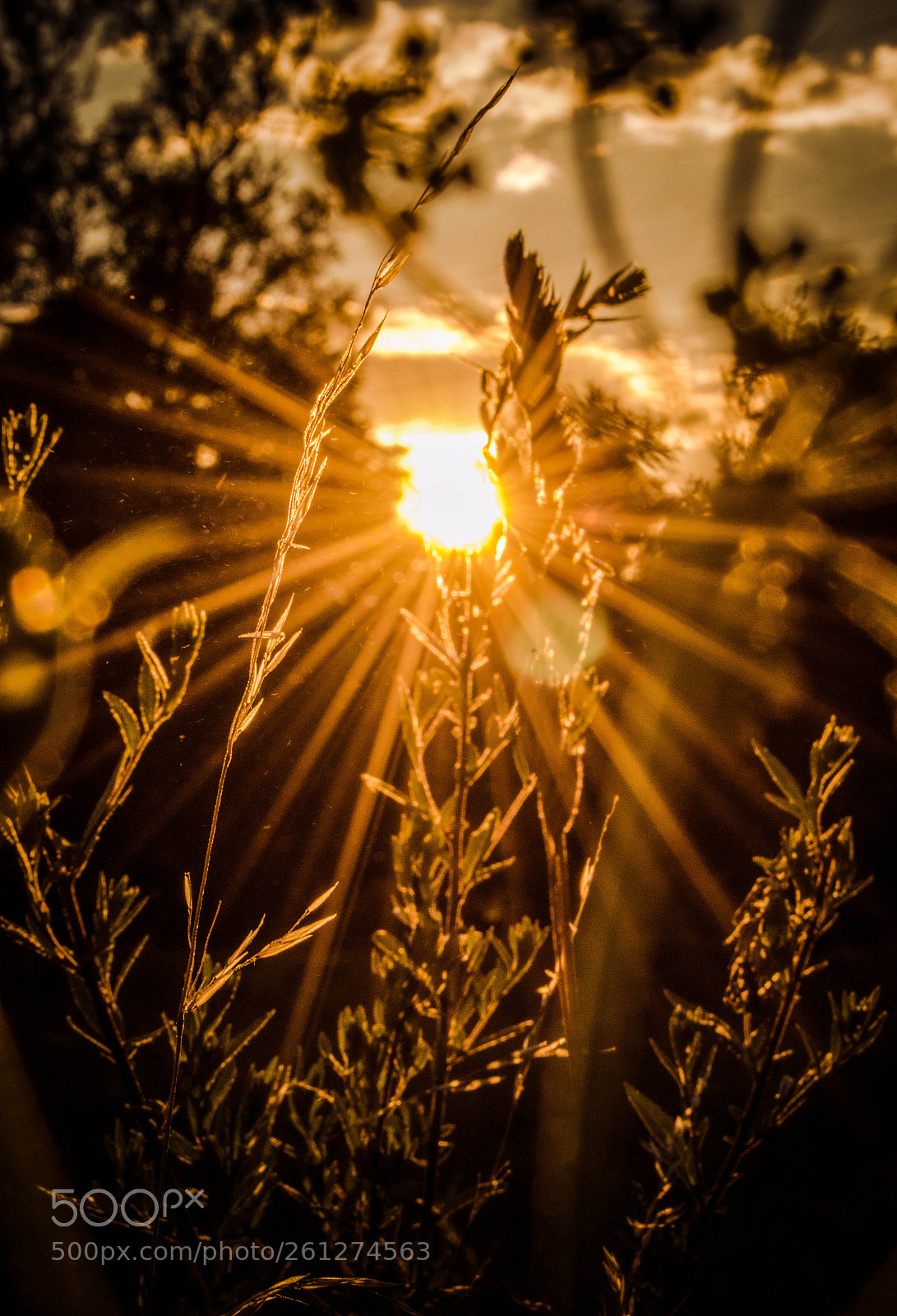 Nikon D3200 sample photo. Sunset photography