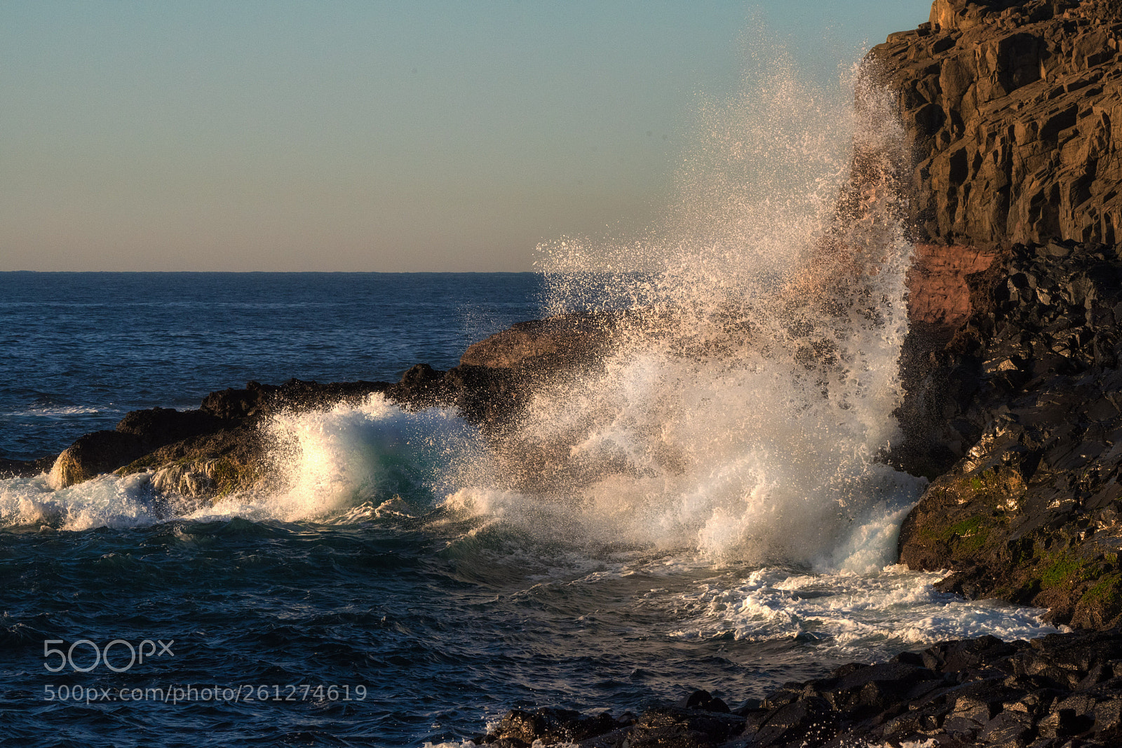 Nikon D750 sample photo. Simple splash photography