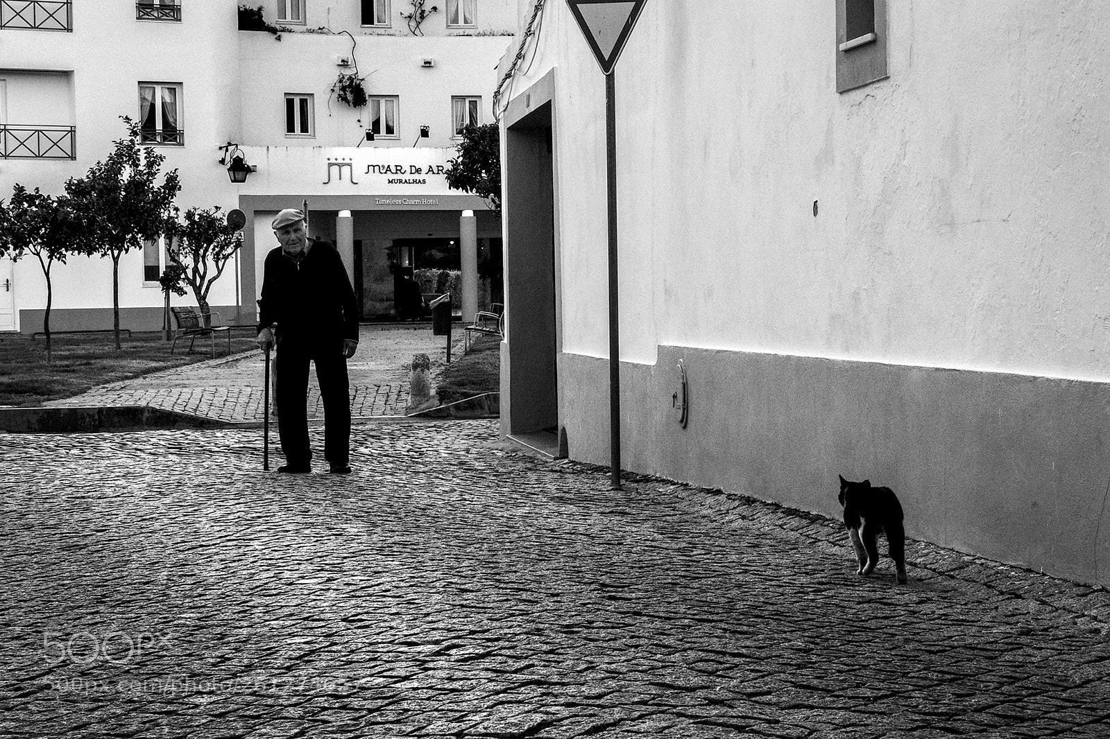 Fujifilm X-T20 sample photo. Untitled photography
