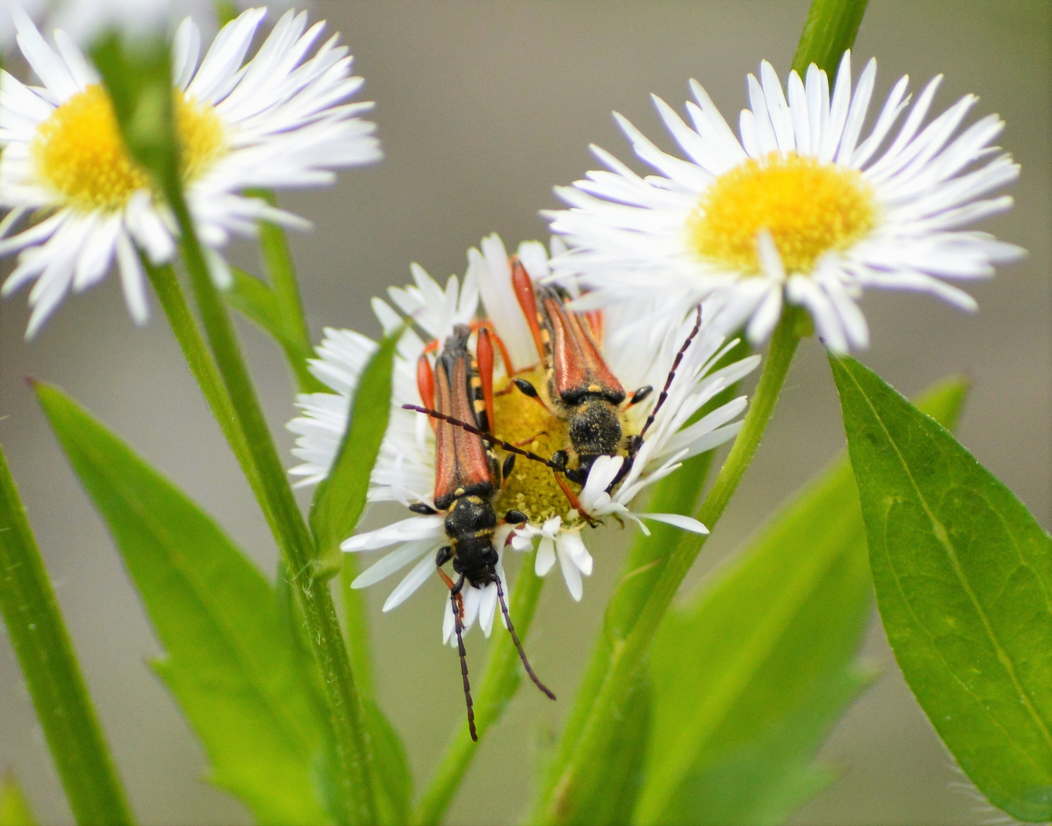 Nikon D3200 sample photo