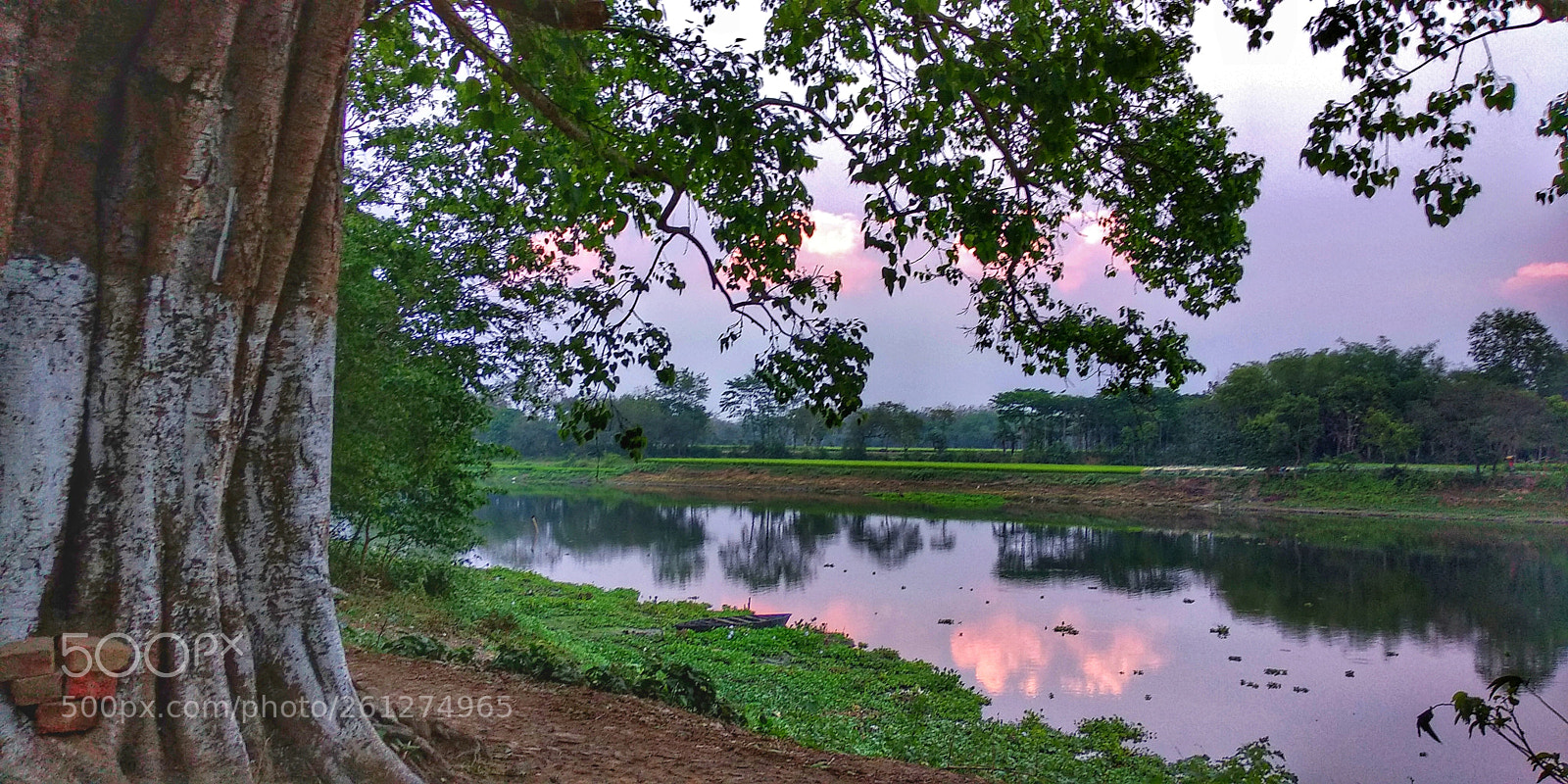 Xiaomi Redmi Note 5 sample photo. River bank photography
