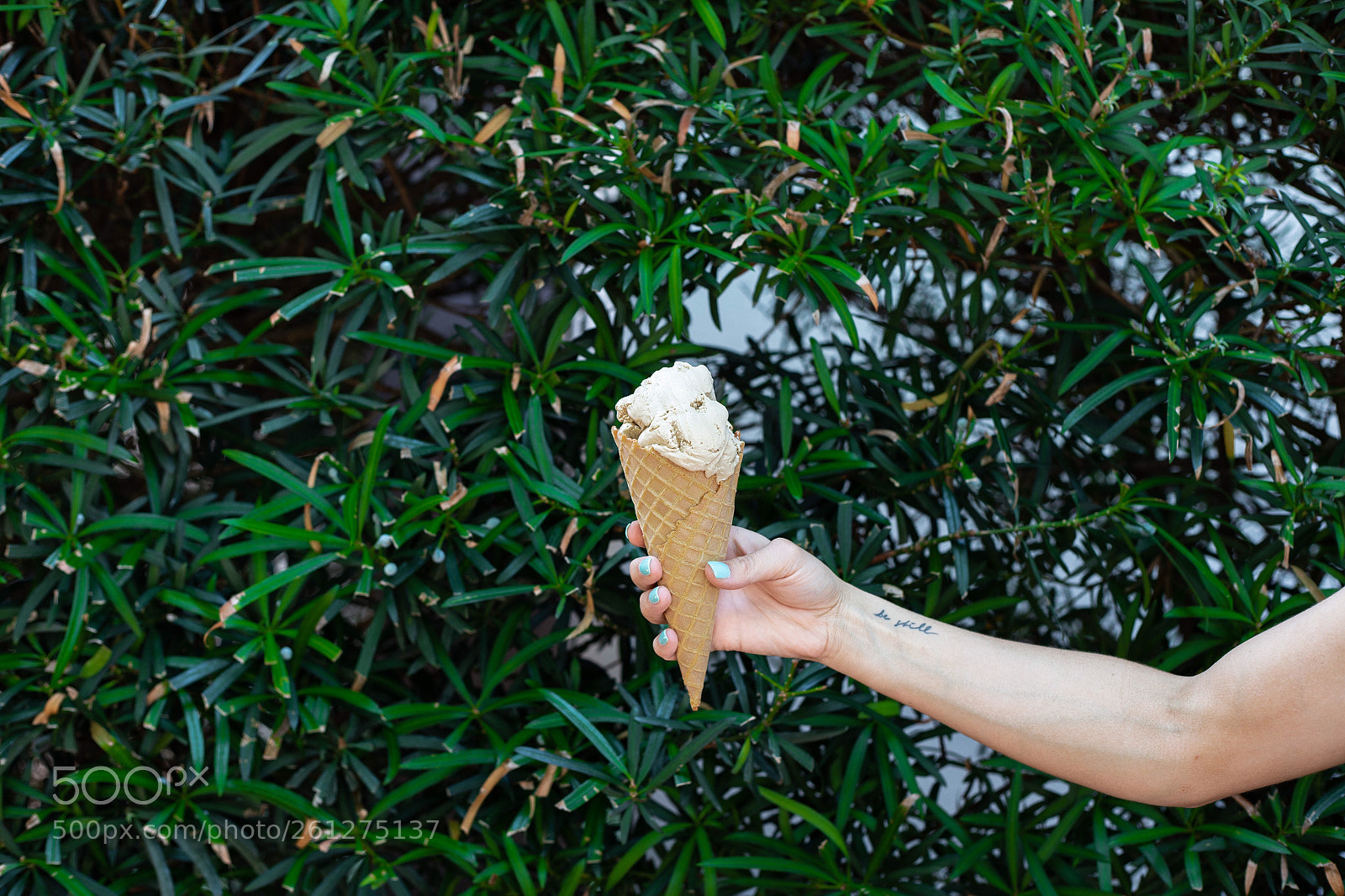 Canon EOS 6D sample photo. Sweet treats photography
