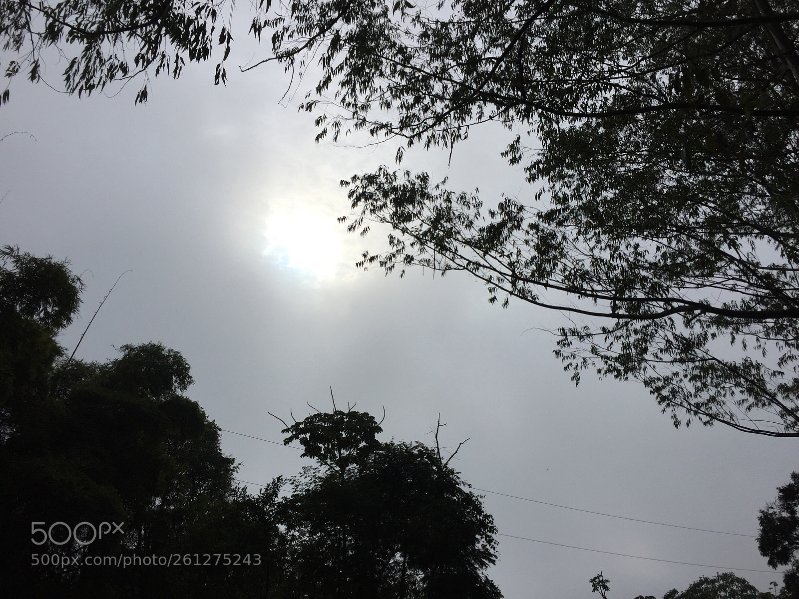 Apple iPhone 6 sample photo. Sun photography