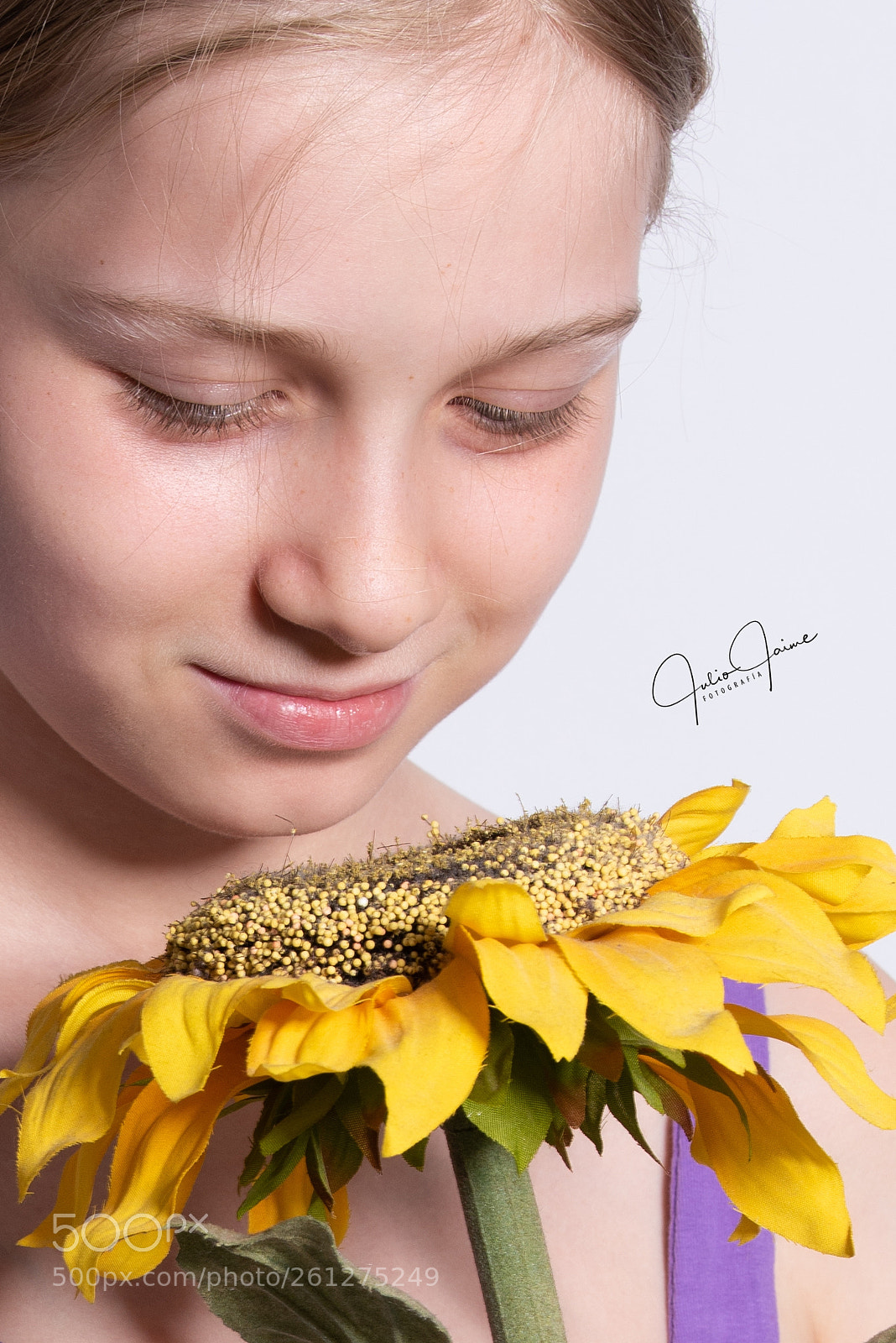 Nikon D810 sample photo. Sunflower photography