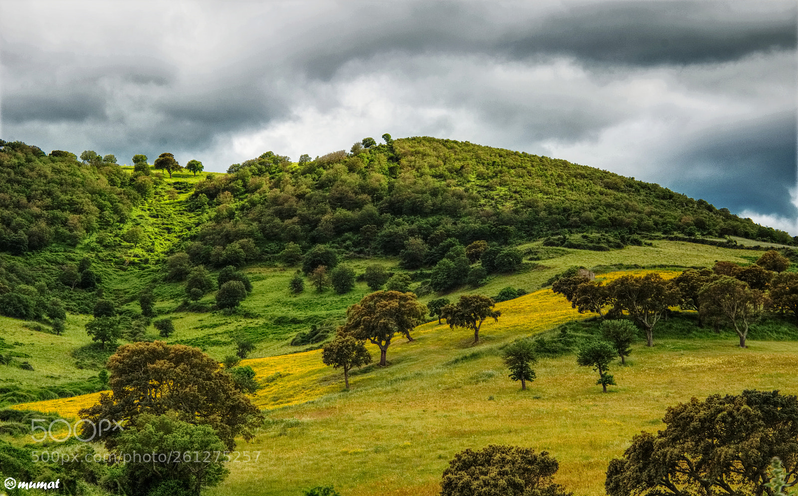 Nikon D7200 sample photo. Colline photography