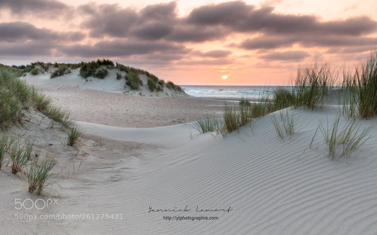 Canon EOS 5D Mark IV sample photo. Close to the beach photography